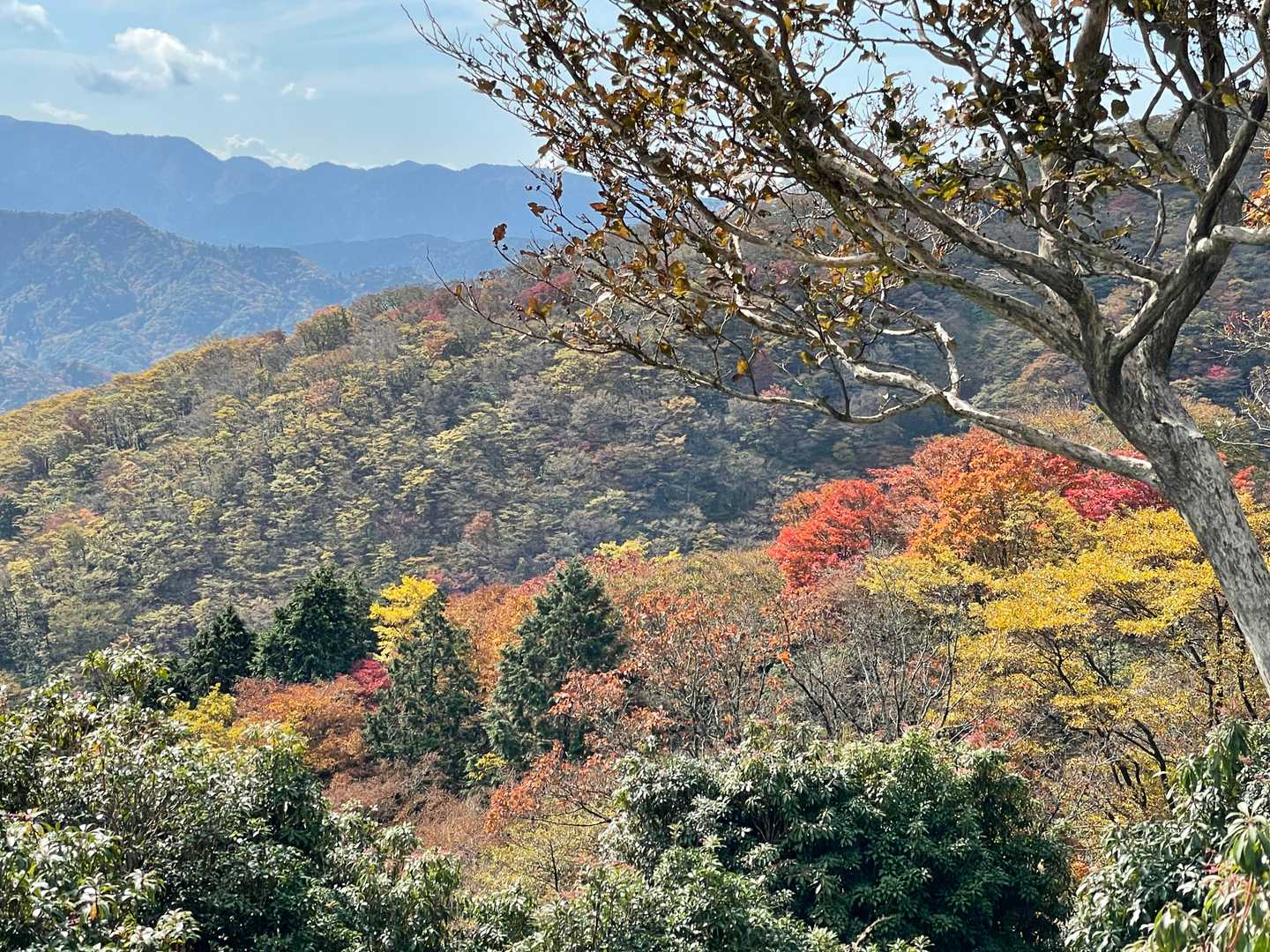 竜ヶ岳 宇賀渓から遠足尾根〜金山尾根周回の写真