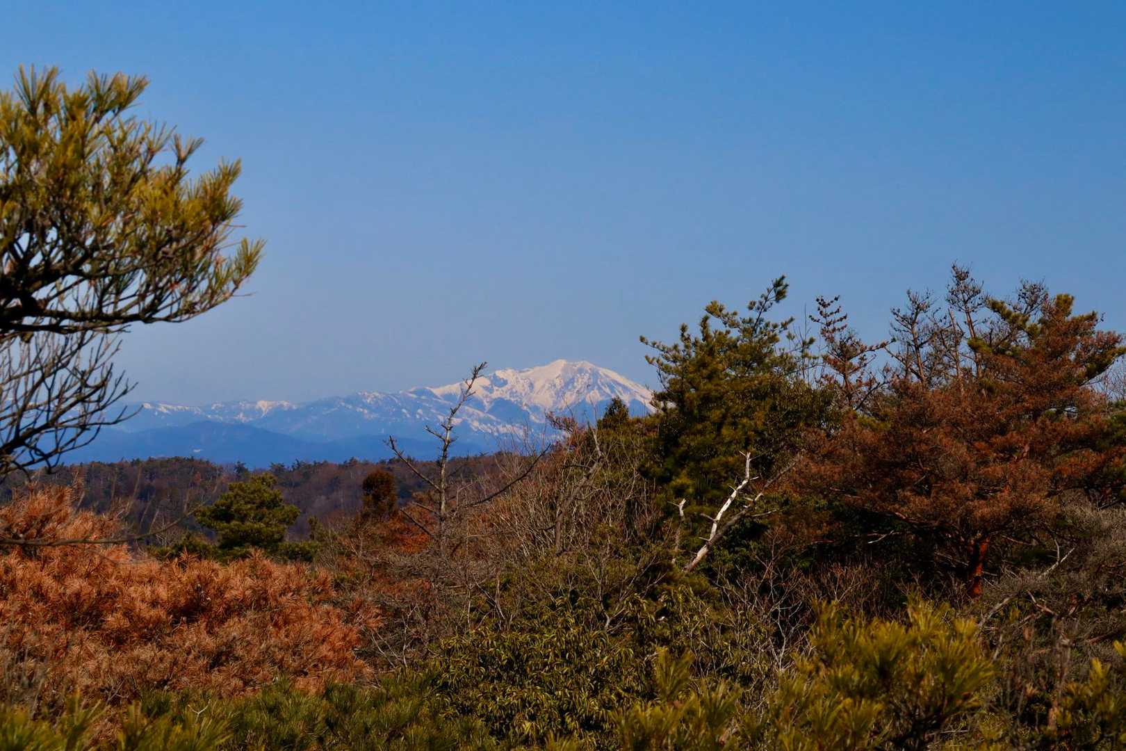 元岩巣山からの御嶽山
