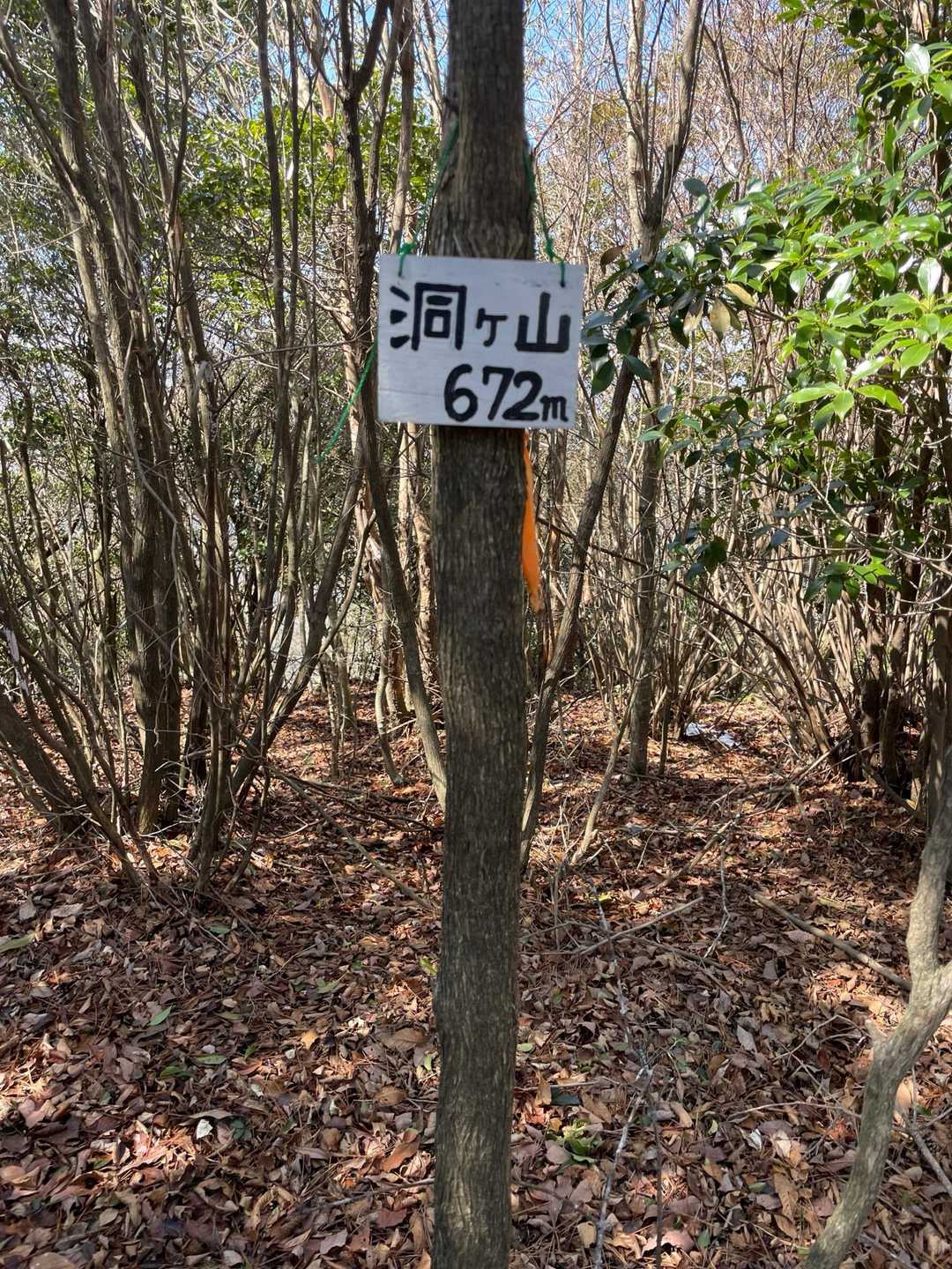 洞ヶ山山頂に着きました