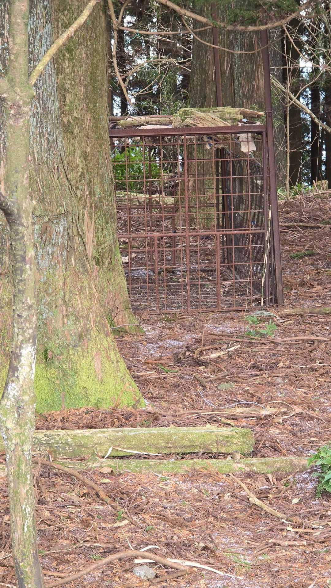 動物捕獲用のワナ？