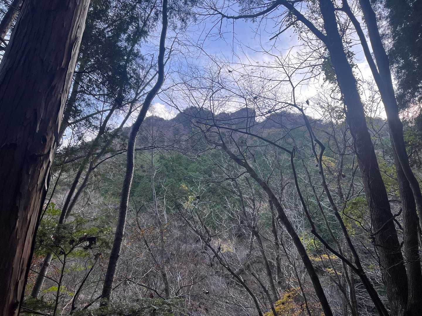 おー見えた〜😍