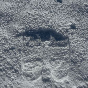 7合目すぎから
先頭変わったけど

筋トレでした💦