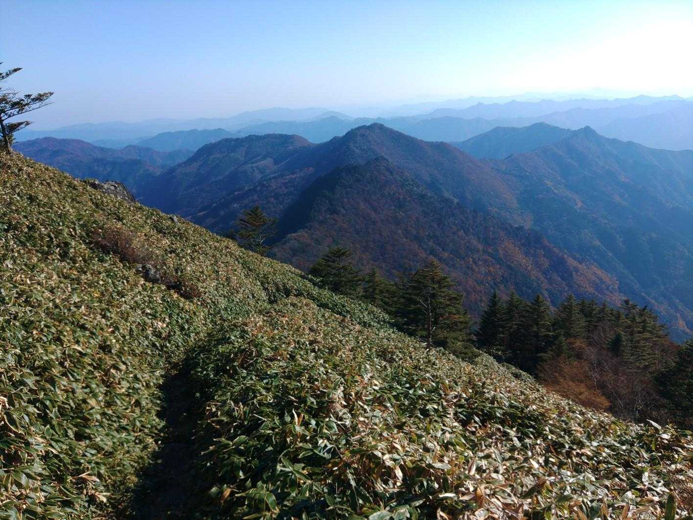 東黒森-伊予富士 往復コースの写真