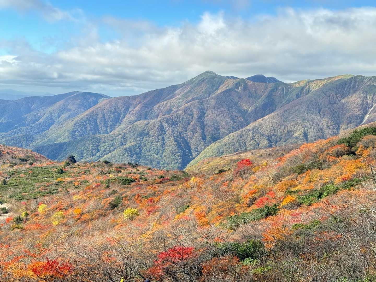 峠の茶屋登山口-茶臼岳 往復コースの写真