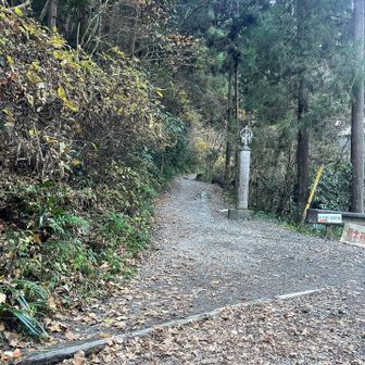 こっちが6号路。