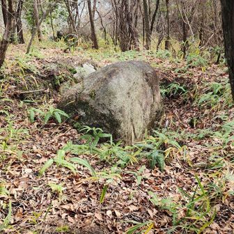 岩が埋まってる