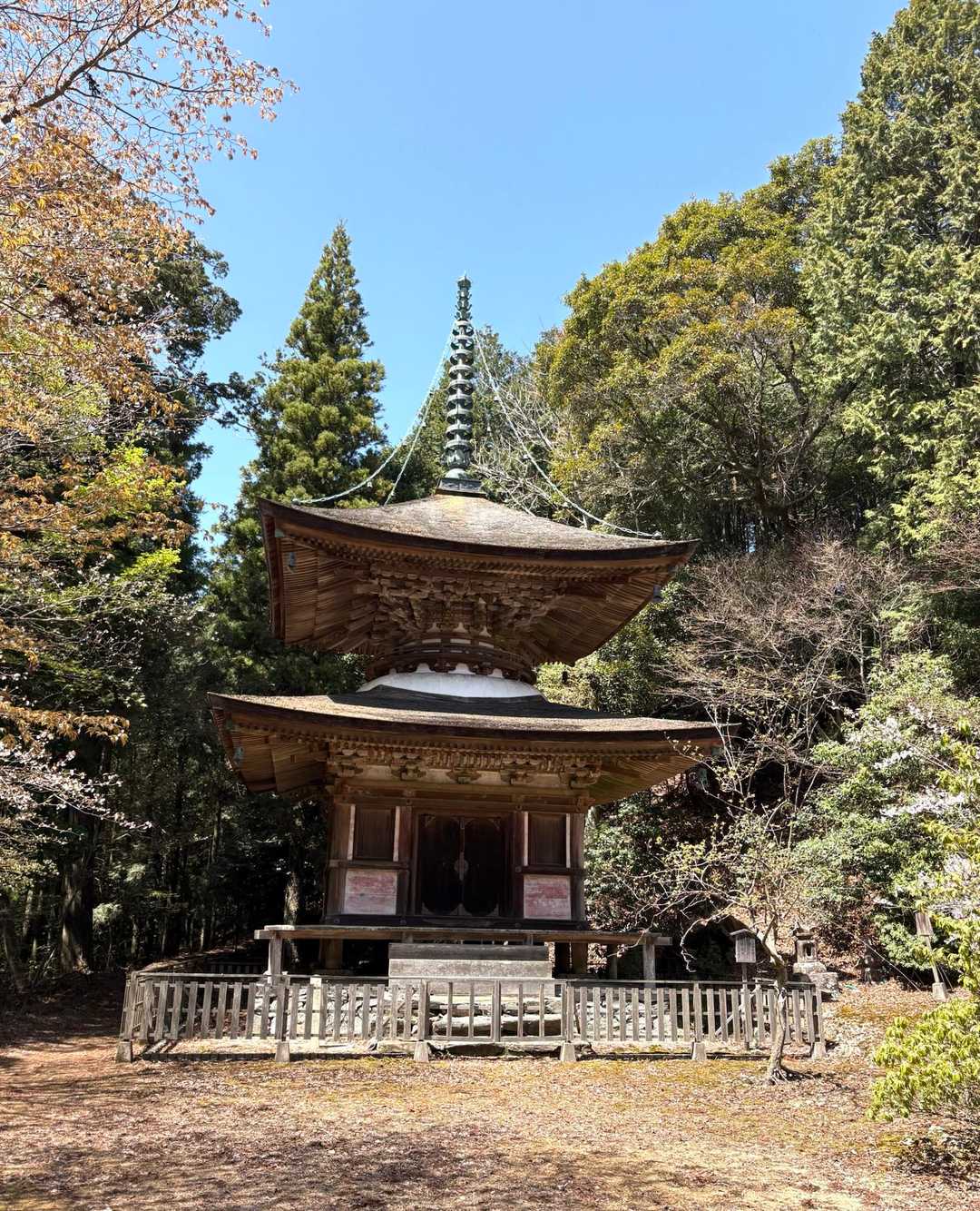 金胎寺（こんたいじ）多宝塔