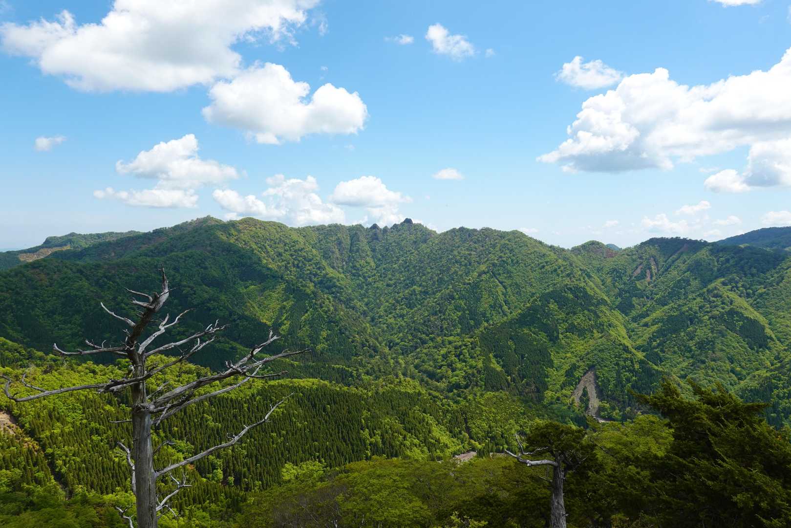 北日隠山 往復コースの写真