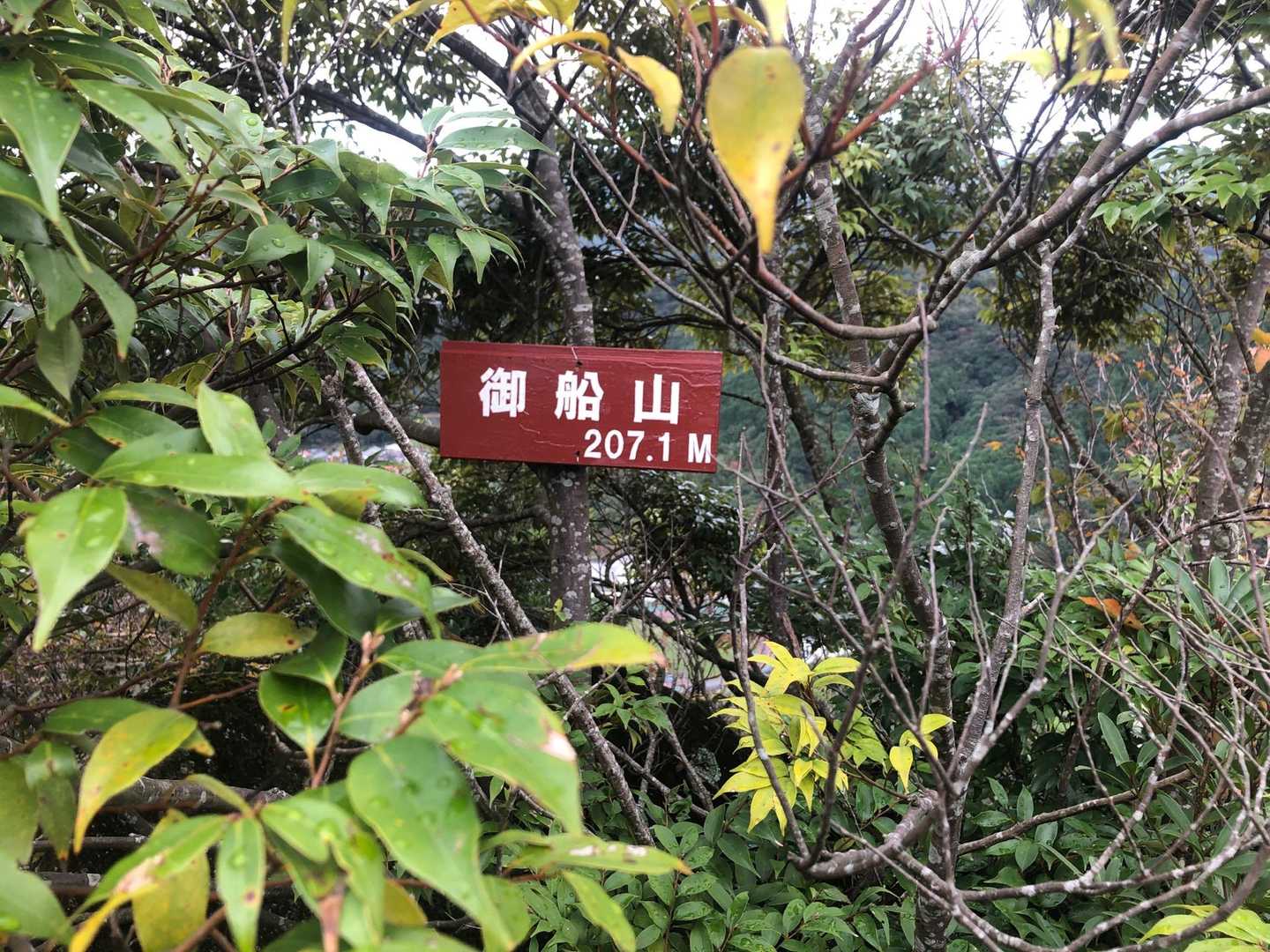 御船山 往復コースの写真
