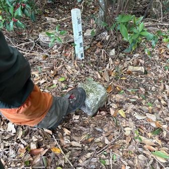 山頂到着　『園見岳』新規　ゲット！