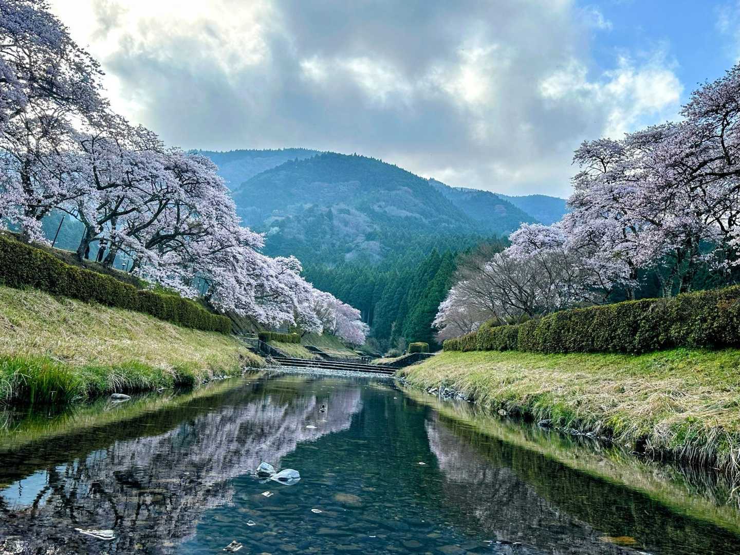 能登ヶ峰-鹿の楽園 往復コースの写真