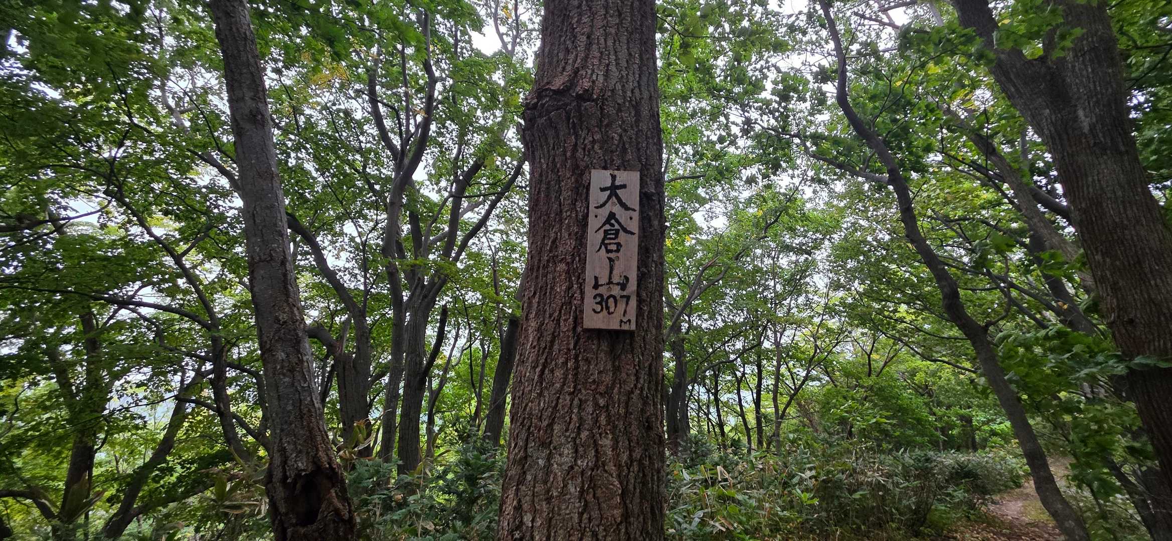 大倉山から先へ