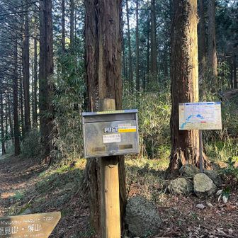 舗装路にでてきました
あと少し🚶‍♀️