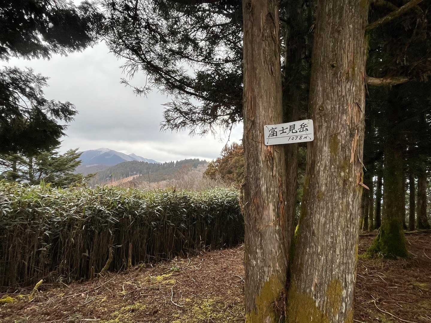 真富士山-富士見岳-駒引峠 周回コースの写真