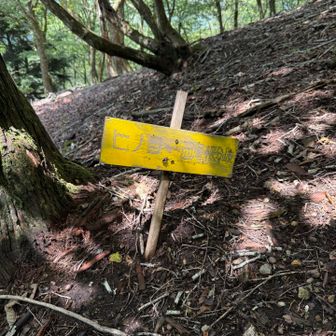 ヒノコー西尾根分岐