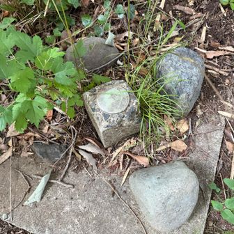 8座目、紅葉山、標識は無し