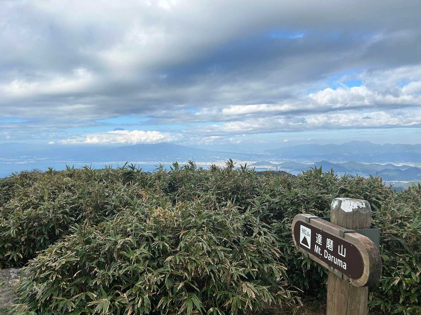 戸田峠-小達磨山-達磨山 往復コースの写真