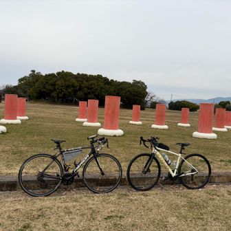 ちょっと走って、藤原宮跡
とっても広くて
ボール遊びしてる人たちもいました😄