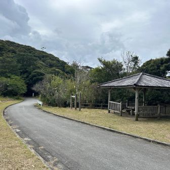 ありがとうございました！