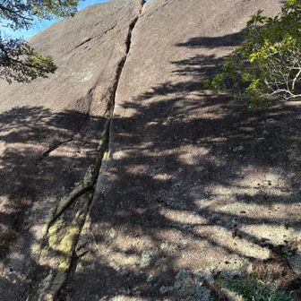 綺麗なクラック