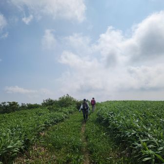 巻き道から下山します