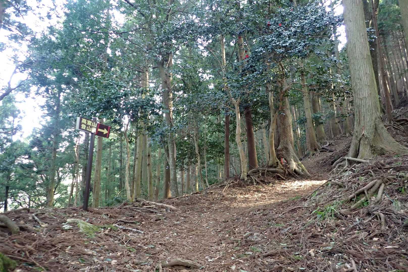 よろしくお願いします！
