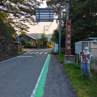 さっそく案山子がお出迎え　道端にチョイチョイ出てきます