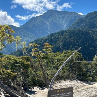 いい天気で良かったです☀️