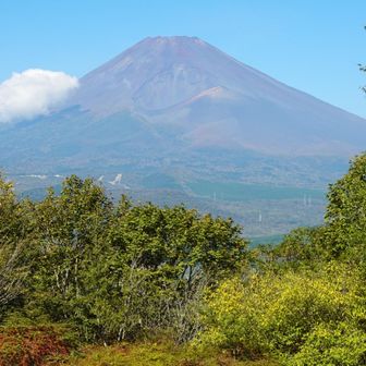 宝永山とその火口を正面に見る