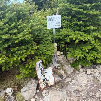 明星ヶ岳登頂。ヤマップで八経ヶ岳から明星ヶ岳まで１５分とか書いてるらしいけど実際は３０分くらいかかった。