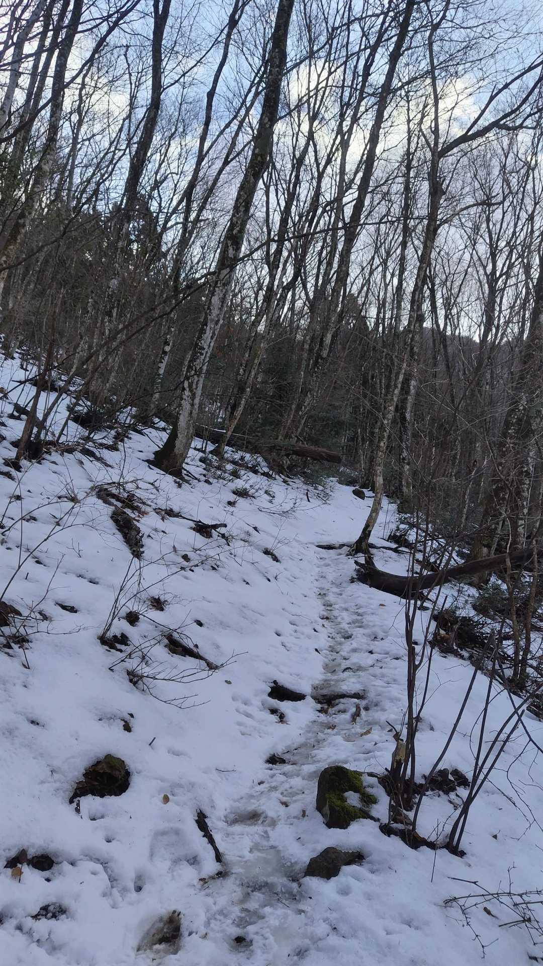 この辺から、雪が。🚶