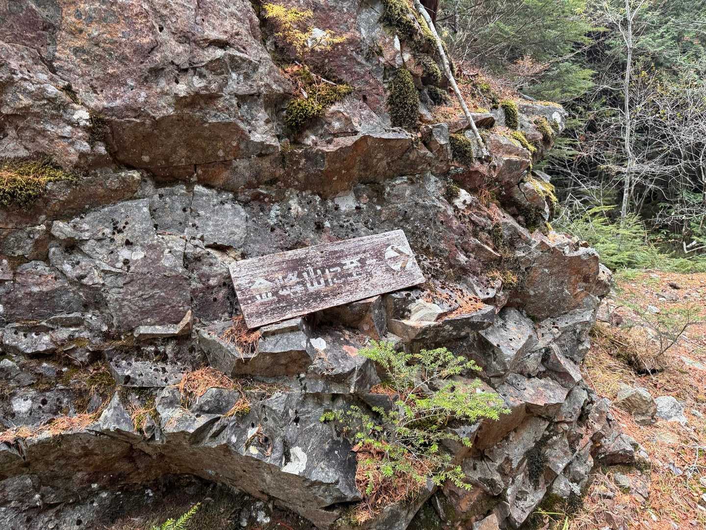 金峰山（廻り目平）の写真