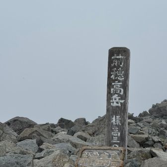 心のように白い(は？