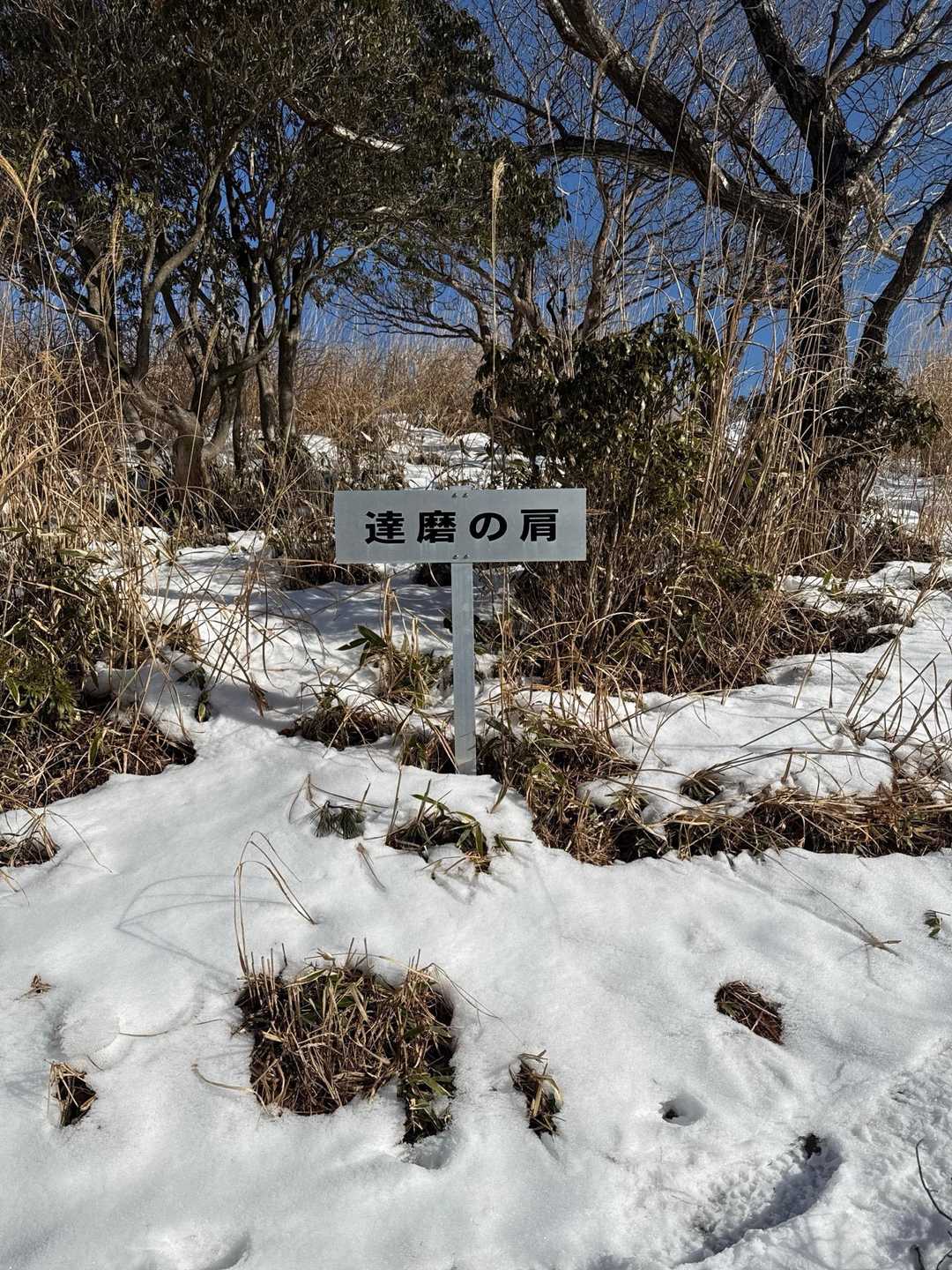 達磨の肩迄登ると雪が増えてきました。