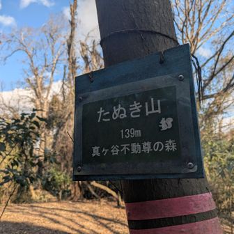 緑のたぬき🦝（写真では色分かり辛いけど）