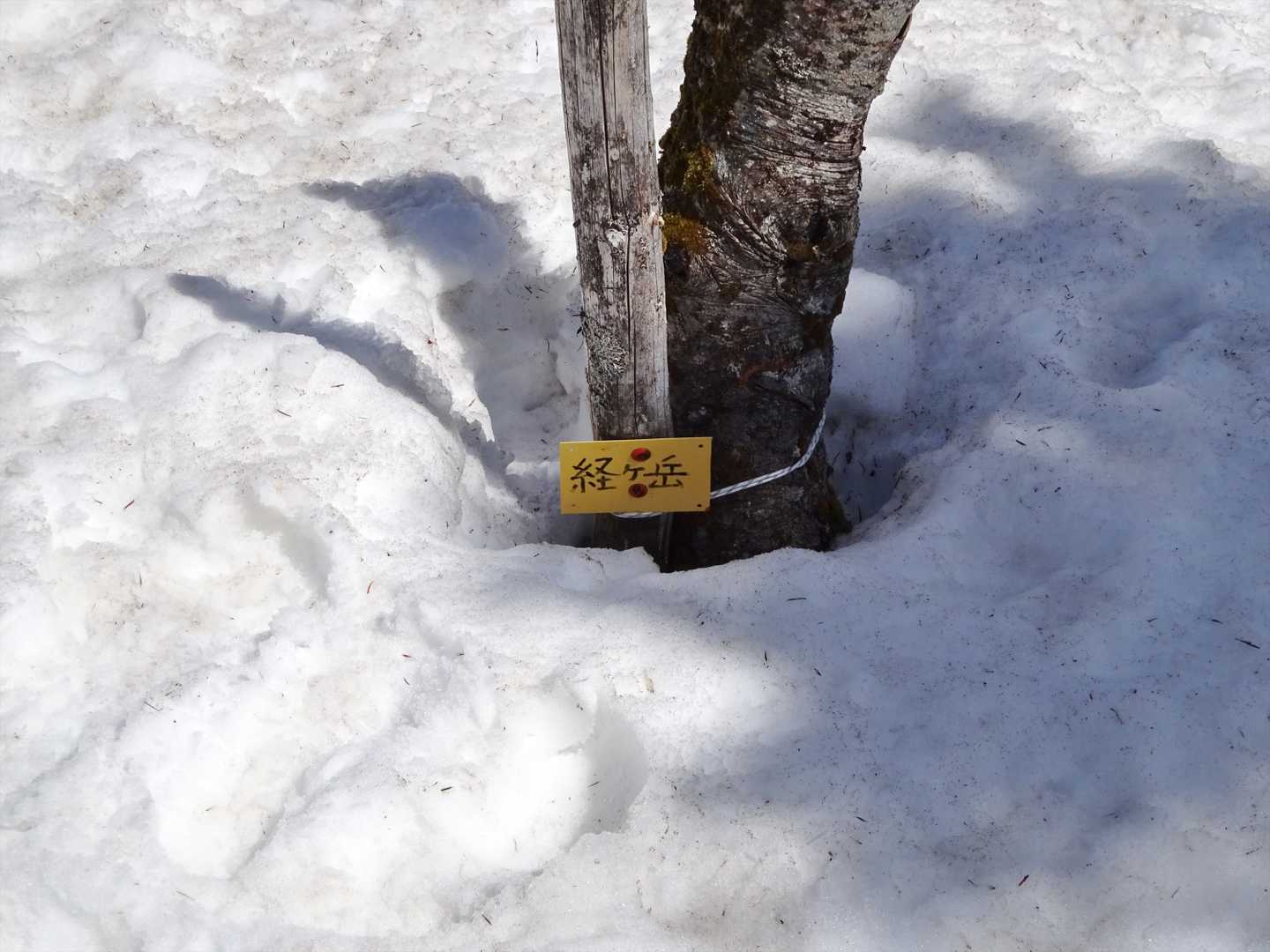 大泉山-経ヶ岳 往復コースの写真
