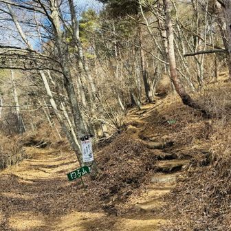 分岐まで降りてきました。
ここからは、ほぼフラットです。