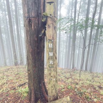 醍醐丸登頂867m
八王子市最高峰☝️