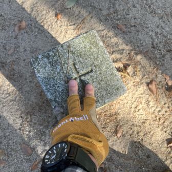 高尾山三角点。
周辺は綺麗に掃かれています😊