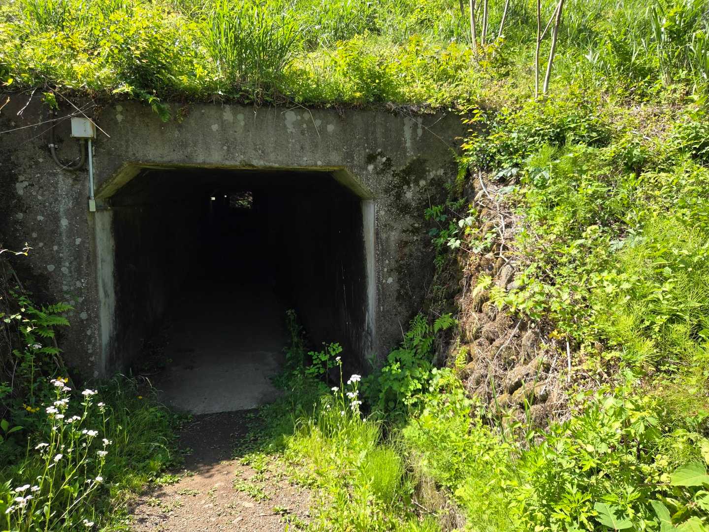 このトンネルをくぐっていきます