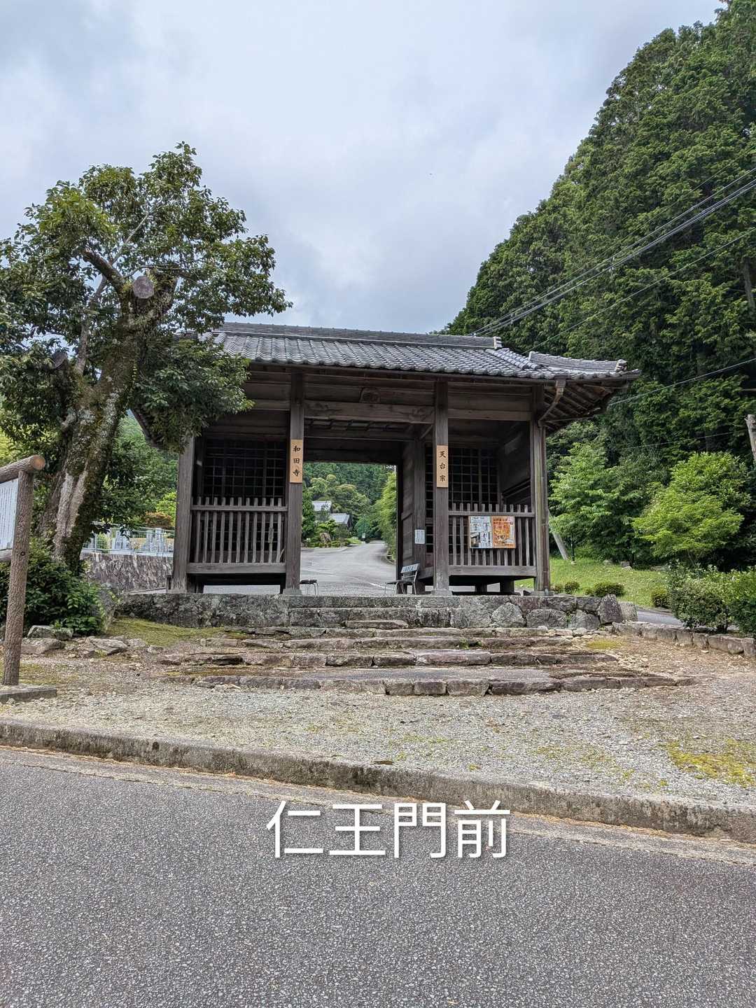 和田寺-和田寺山登山口-天神ほこら跡-和田寺山 周回コースの写真
