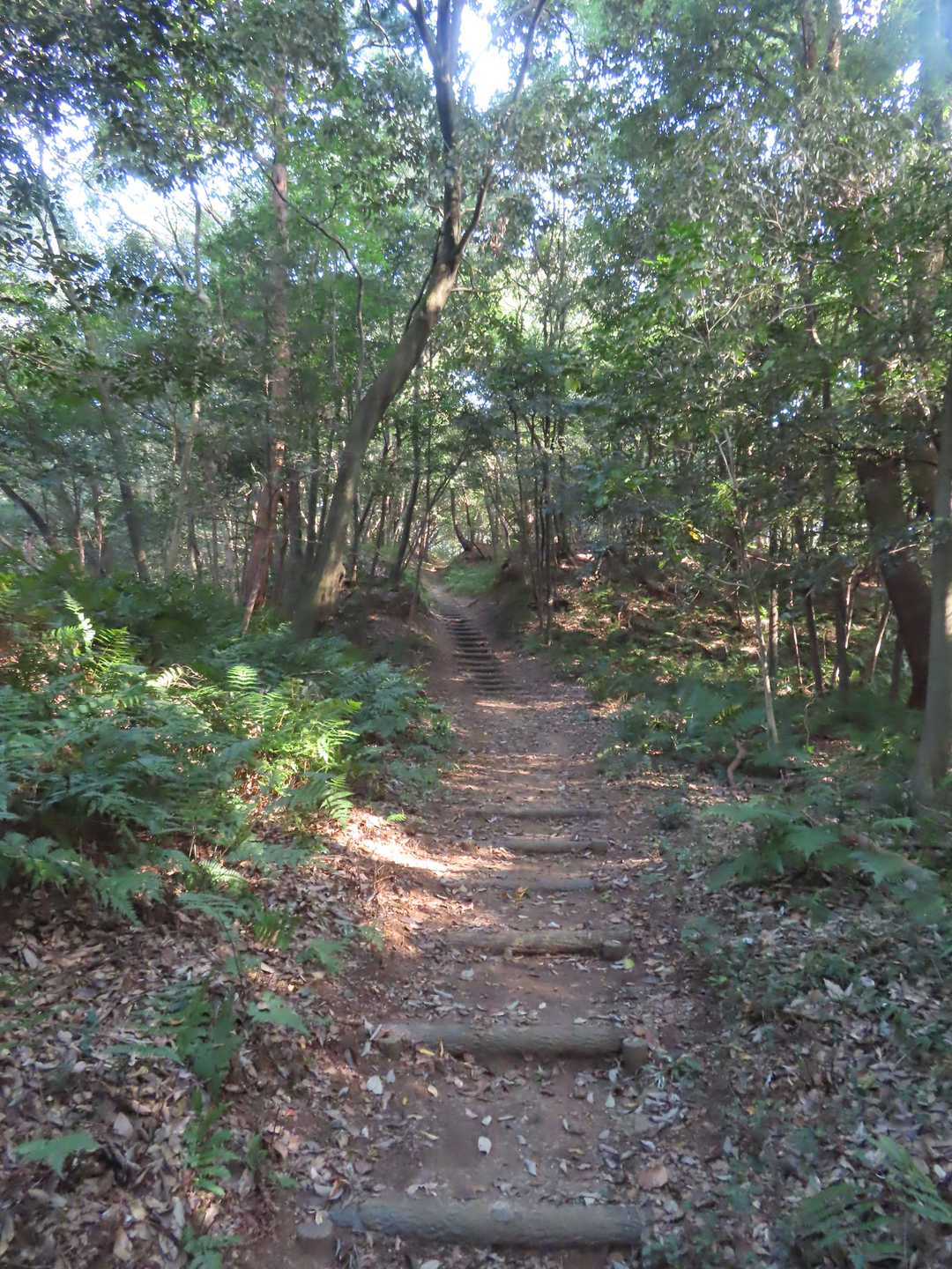 始めて歩く道
ゆるやかに上り坂