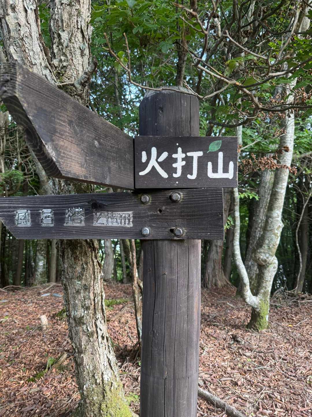 火打山⛰️到着〜🙌🏻

1424m

三角点あり
