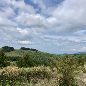 41、箱岩山へ①
昼食後は左側の山頂部が木々で生い茂ってる箱岩山へ