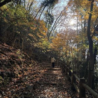 九十九折りの木の階段を登り続けます