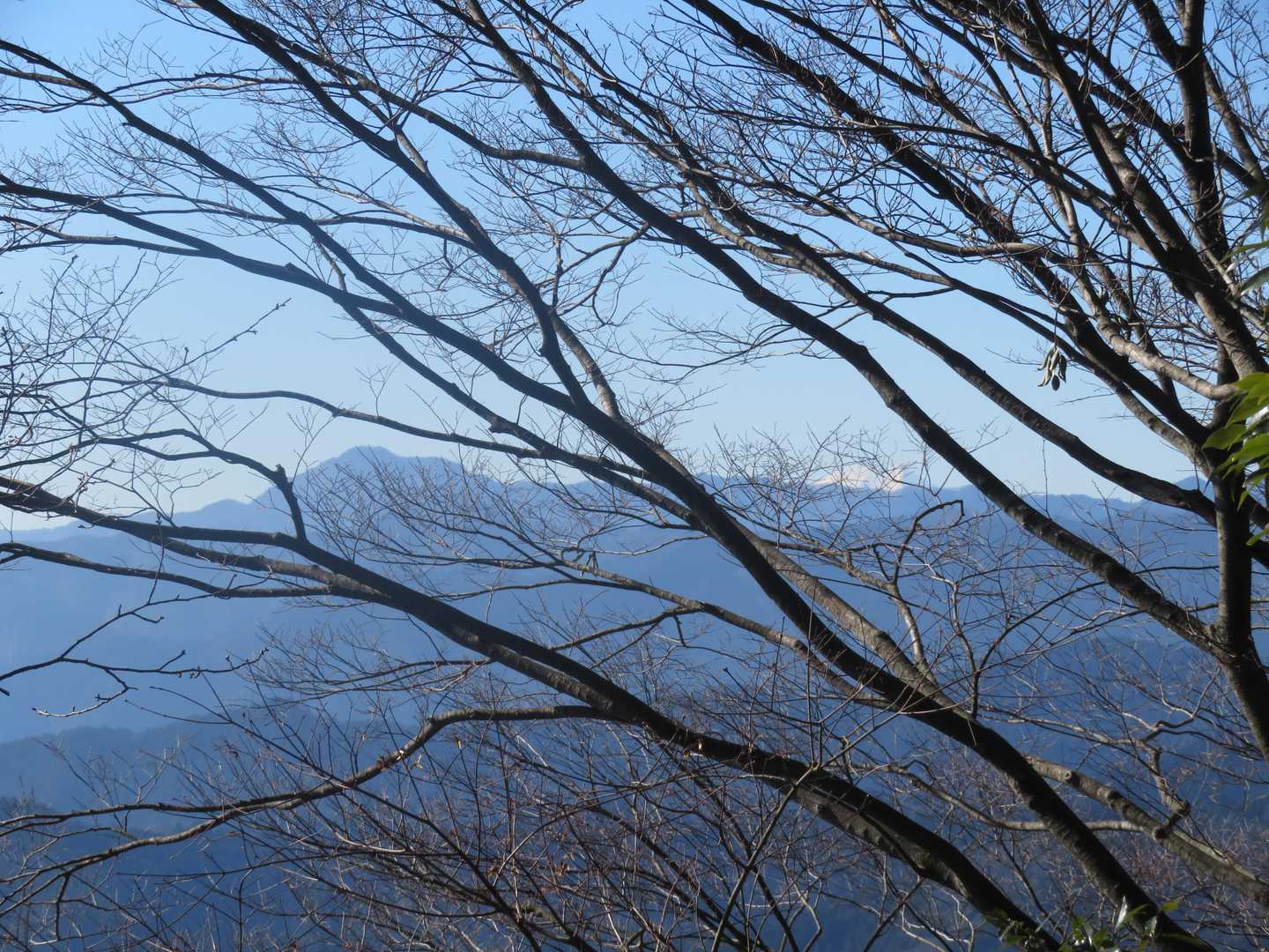 南側の展望あり👀大岳山と🗻頭だけね😅