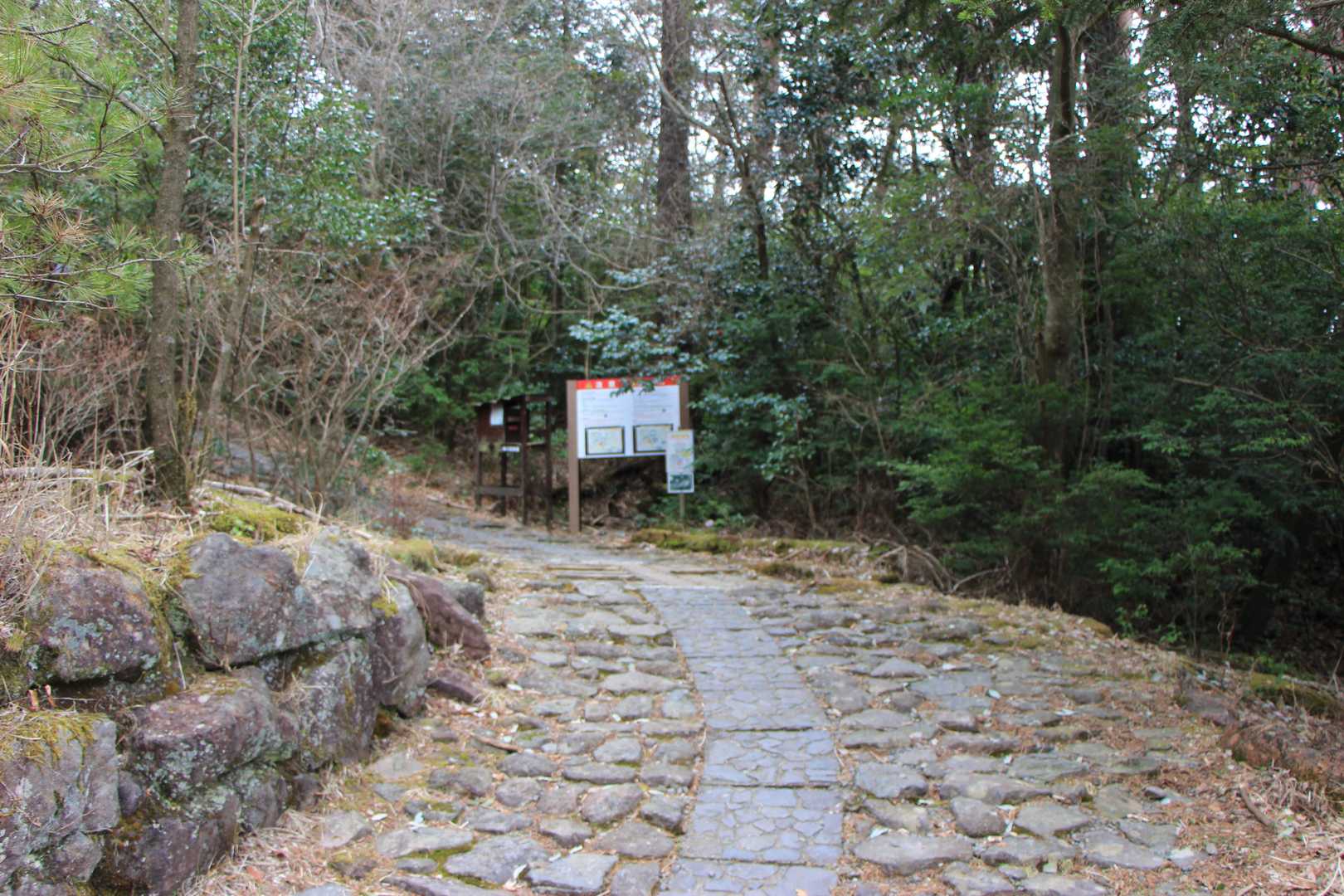 久しぶりに正面からの登山