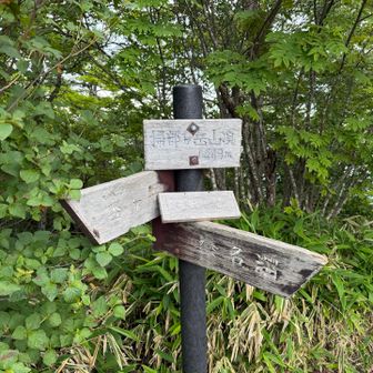 掃部ヶ岳登頂
頂上からの眺望はガスのためイマイチ…
道中、アブのほか小虫多数でした…