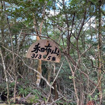 和布山(わぶやま)登頂♪