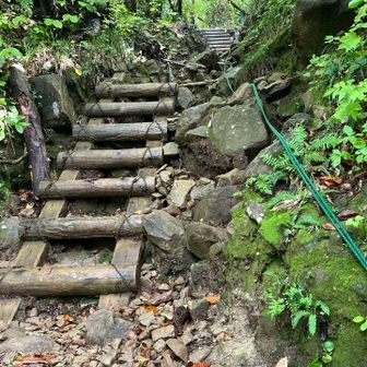 急登が始まる